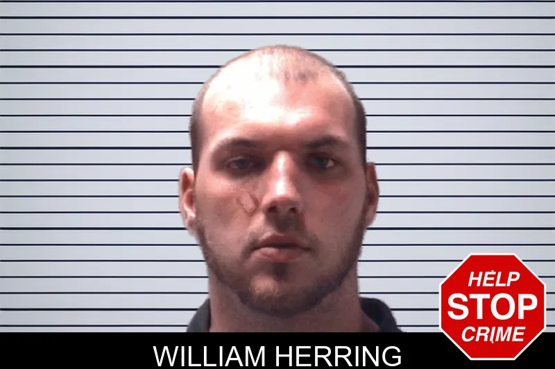 William Herring mugshot