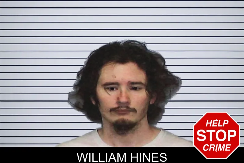 William Hines mugshot – White County , Georgia William Hines mugshot