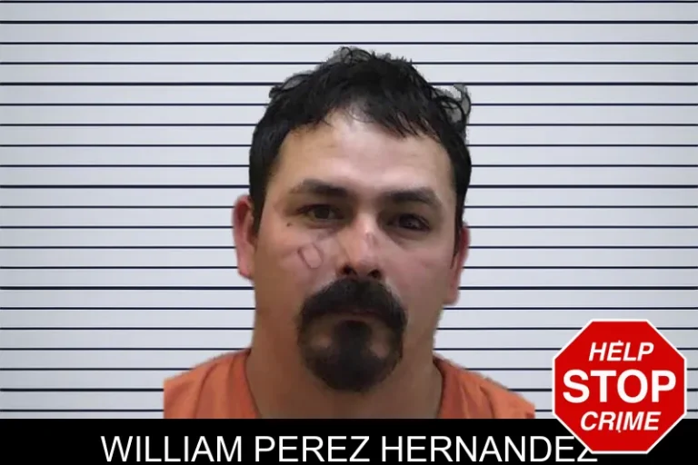 William Perez Hernandez