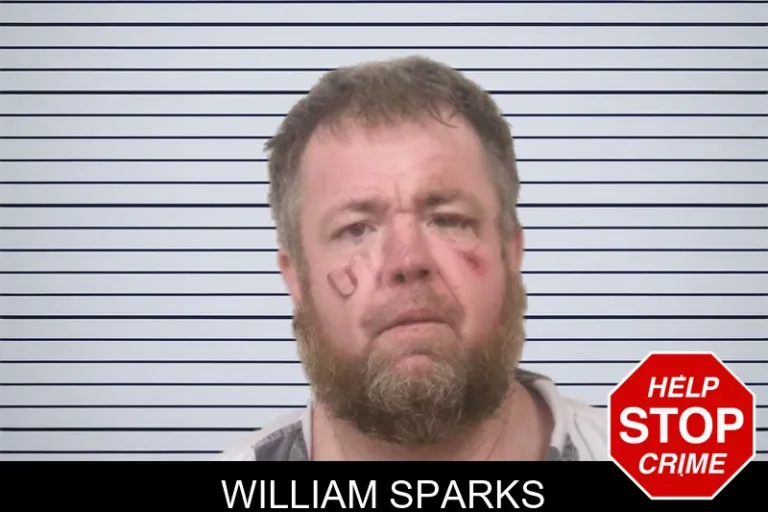 William Sparks mugshot – Bulloch County , Georgia William Sparks