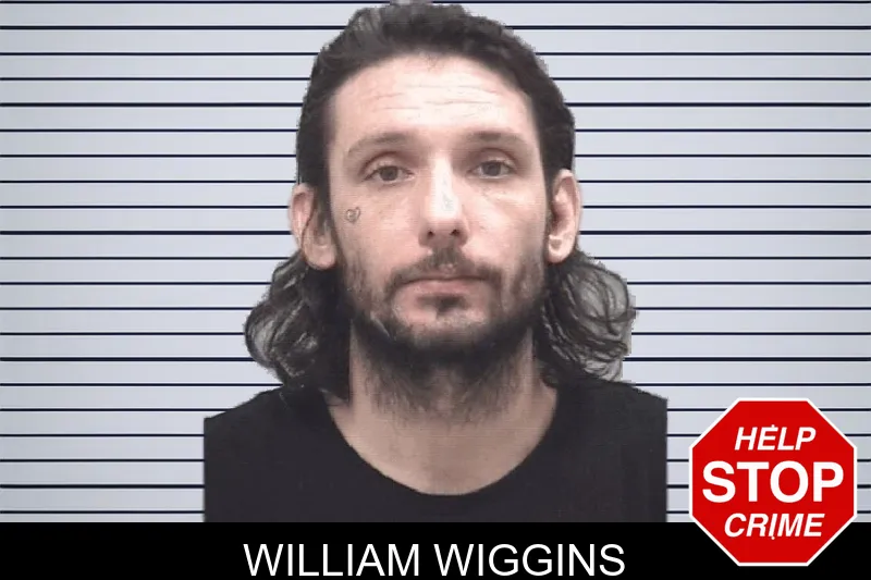 William Wiggins mugshot