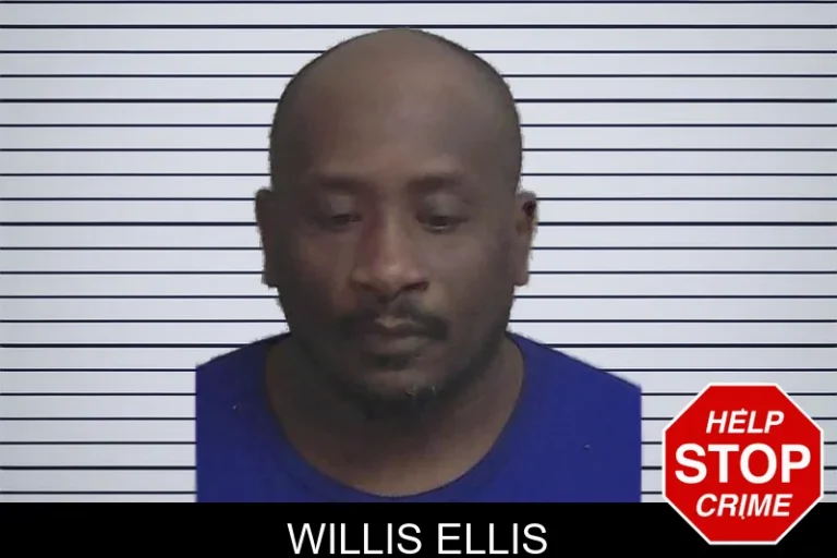 Willis Ellis mugshot – Wayne County , Georgia Willis Ellis