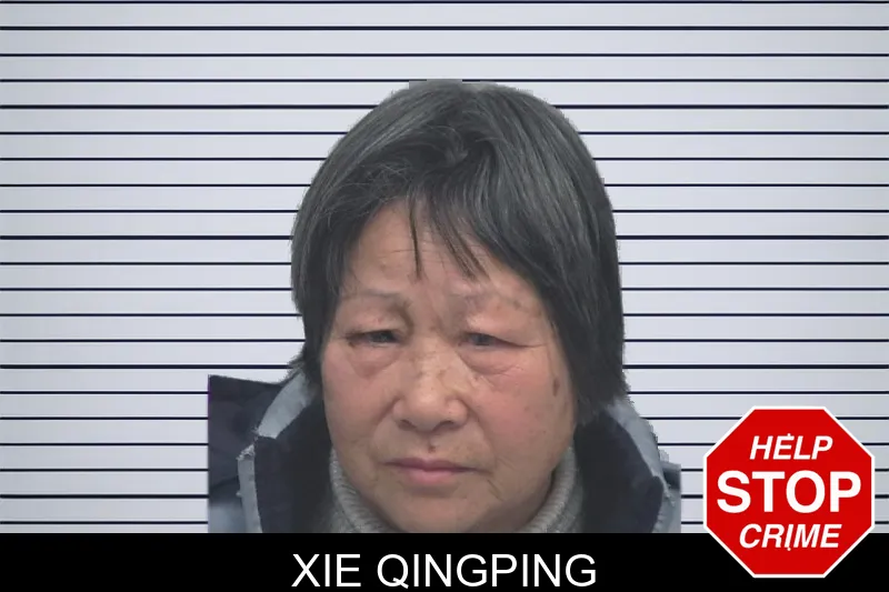 Xie Qingping mugshot