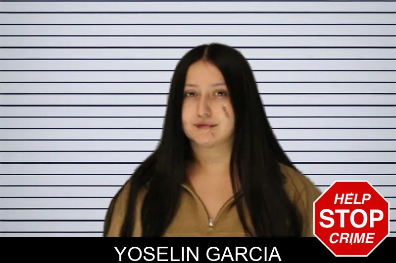 Yoselin Garcia mugshot
