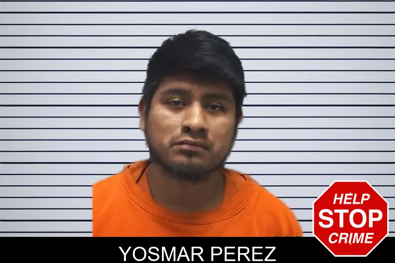Yosmar Perez mugshot