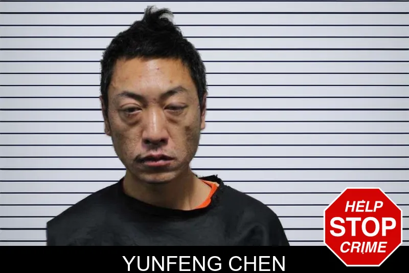 Yunfeng Chen mugshot