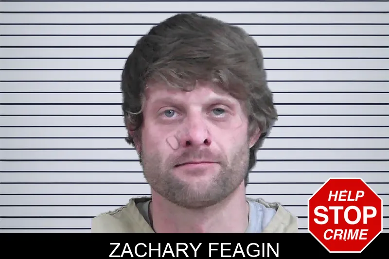 Zachary Feagin mugshot