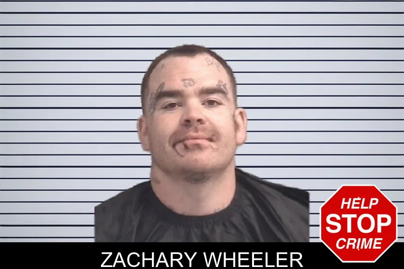 Zachary Wheeler mugshot