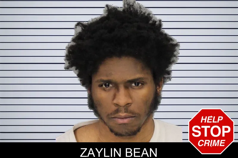 Zaylin Bean mugshot
