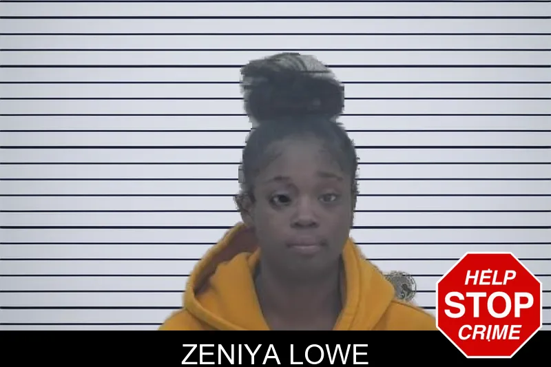 Zeniya Lowe mugshot – Coffee County , Georgia Zeniya Lowe mugshot