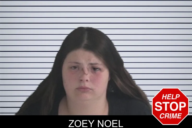 Zoey Noel mugshot – Brantley County , Georgia Zoey Noel mugshot