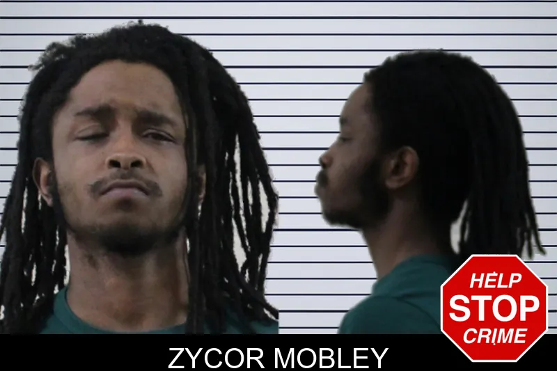 Zycor Mobley mugshot – Houston County , Georgia Zycor Mobley mugshot