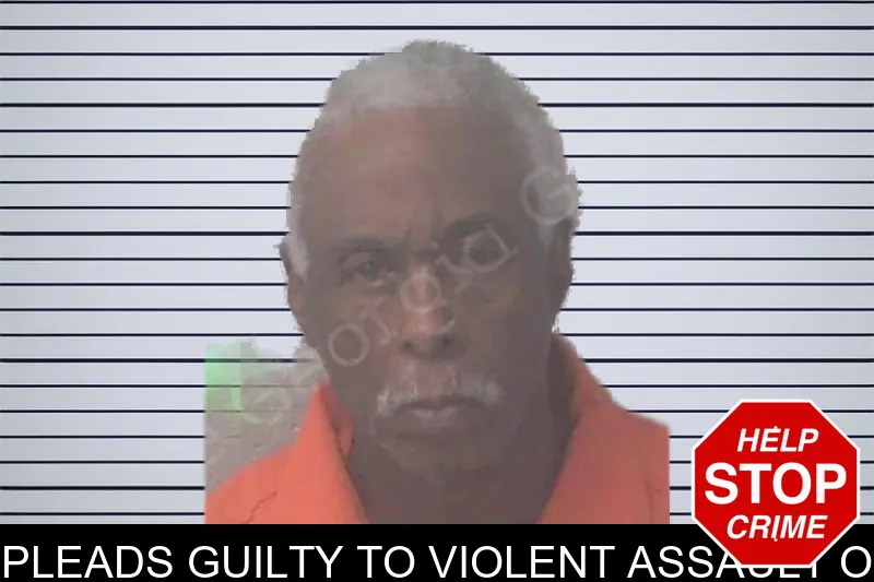 74-year-old man pleads guilty to violent assault of missing woman mugshot – Newton County , Georgia 74-year-old man pleads guilty to violent assault of missing woman mugshot