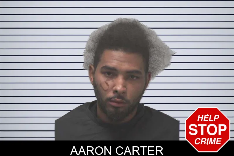 Aaron Carter mugshot