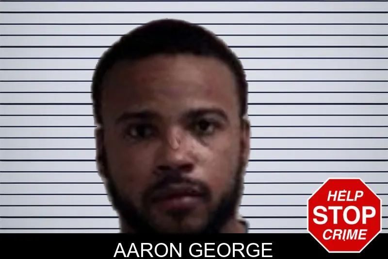 Aaron George mugshot