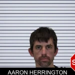 Aaron Herrington mugshot