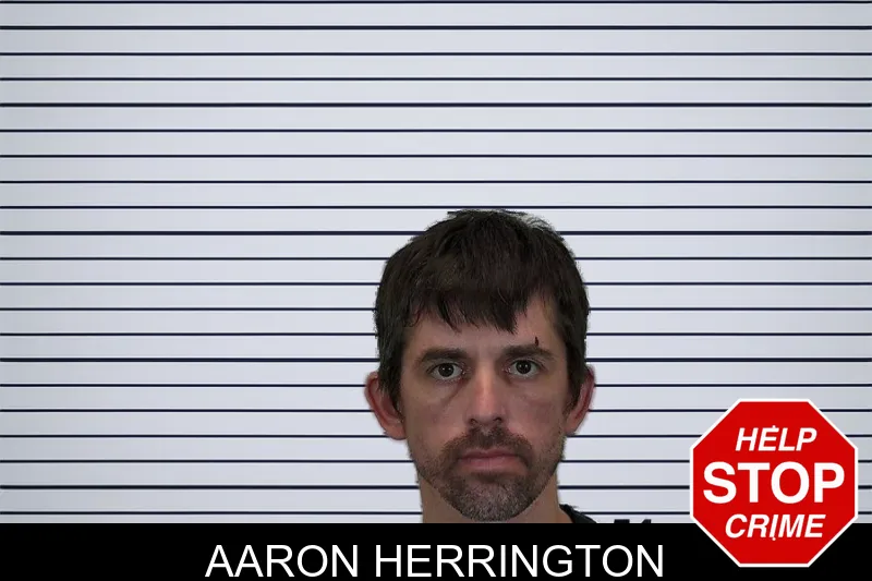 Aaron Herrington mugshot – Hart County , Georgia Aaron Herrington mugshot