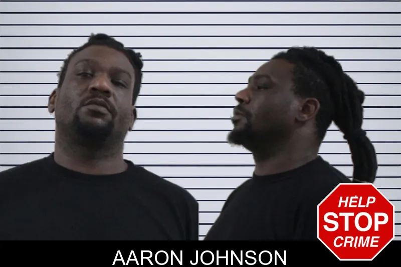 Aaron Johnson mugshot