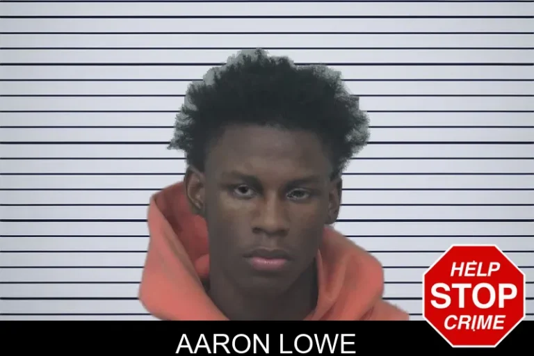 Aaron Lowe mugshot – Gwinnett County , Georgia Aaron Lowe