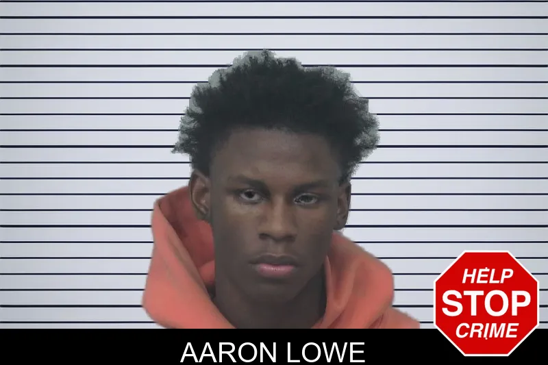 Aaron Lowe mugshot – Gwinnett County , Georgia Aaron Lowe mugshot