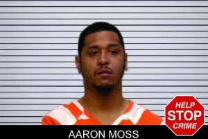 Aaron Moss mugshot