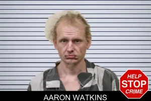 Aaron Watkins mugshot