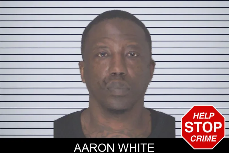 Aaron White mugshot