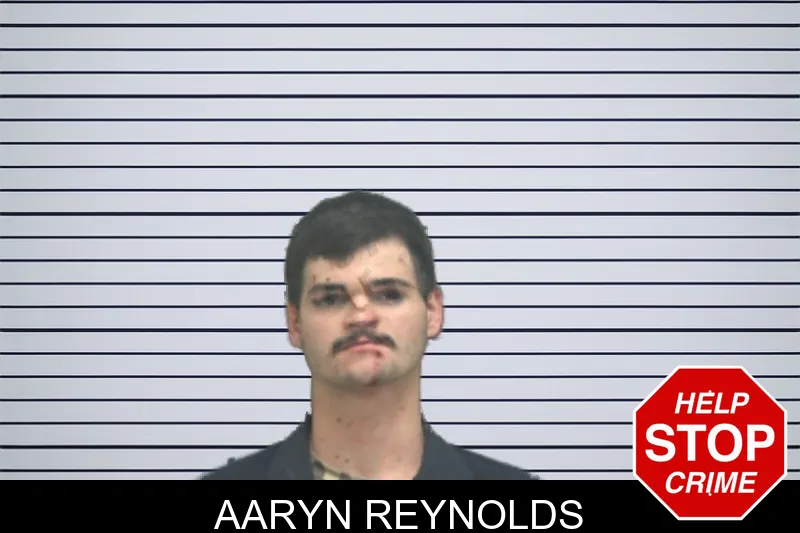 Aaryn Reynolds mugshot