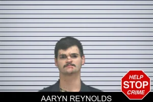 Aaryn Reynolds mugshot