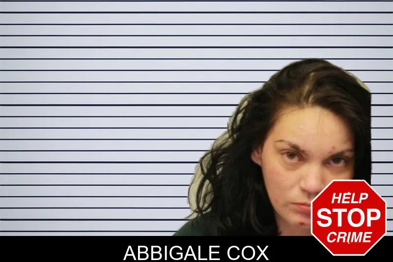 Abbigale Cox mugshot – Chatham County , Georgia Abbigale Cox mugshot