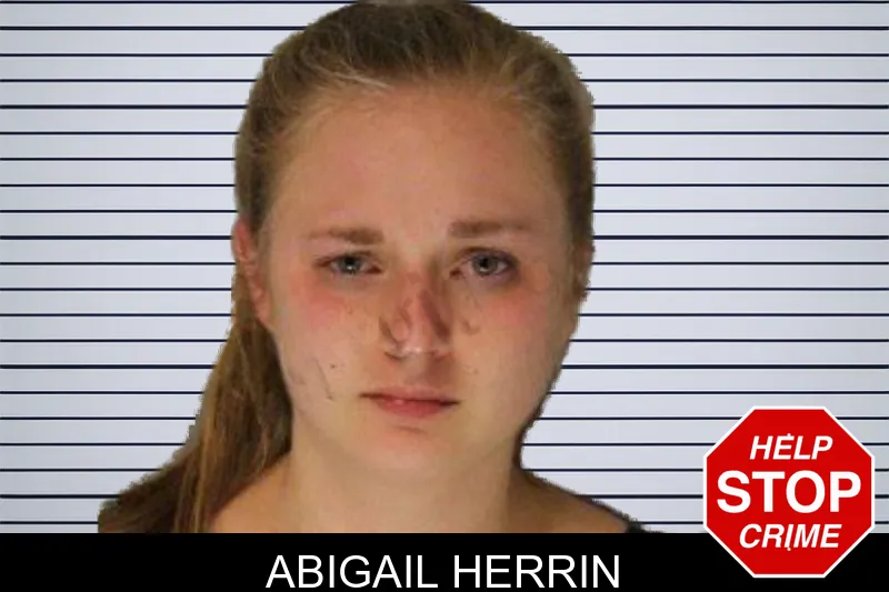 Abigail Herrin mugshot – Hall County , Georgia Abigail Herrin mugshot