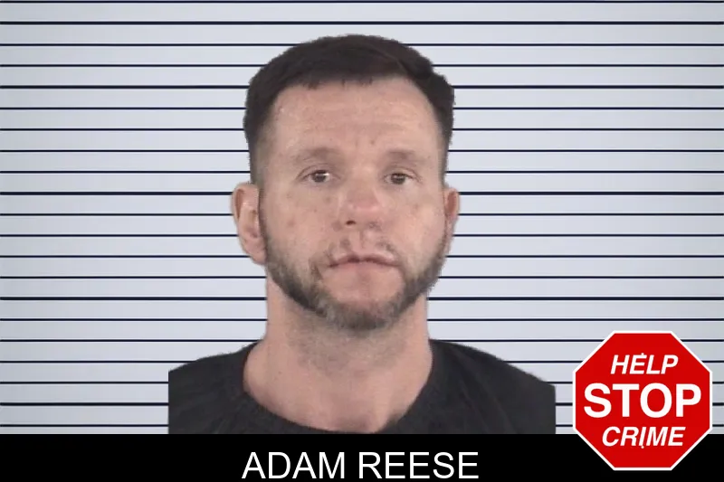 Adam Reese mugshot