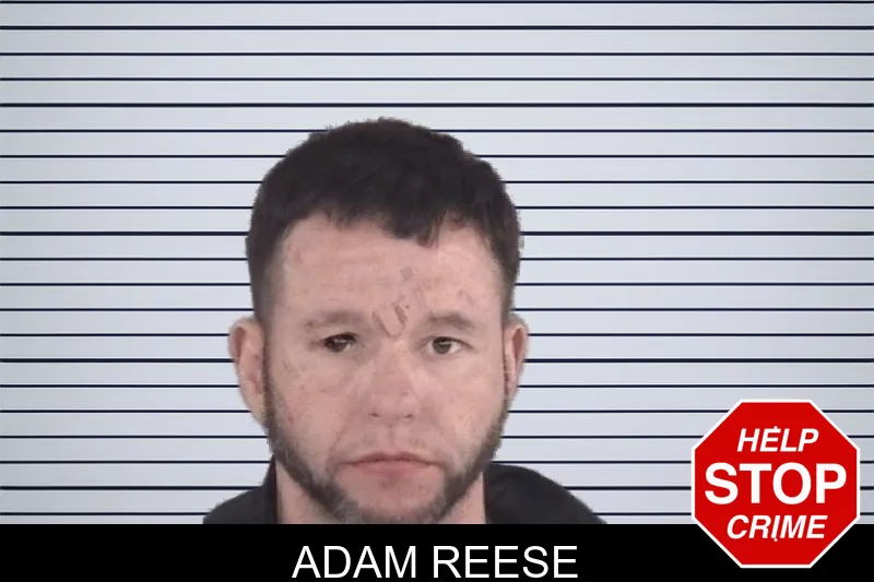 Adam Reese mugshot