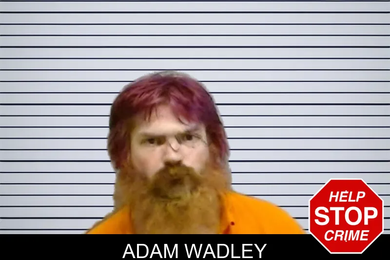 Adam Wadley mugshot