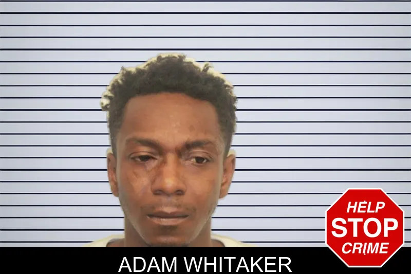 Adam Whitaker mugshot