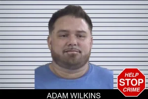 Adam Wilkins mugshot