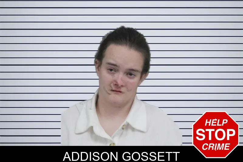 Addison Gossett mugshot