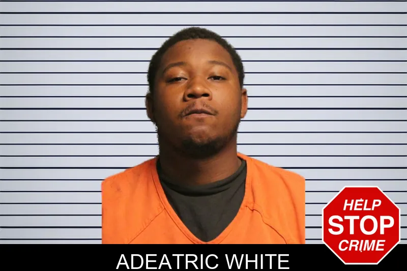 Adeatric White mugshot – Lumpkin County , Georgia Adeatric White mugshot