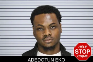 Adedotun Eko mugshot