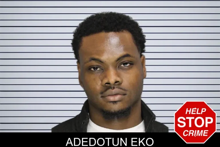 Adedotun Eko