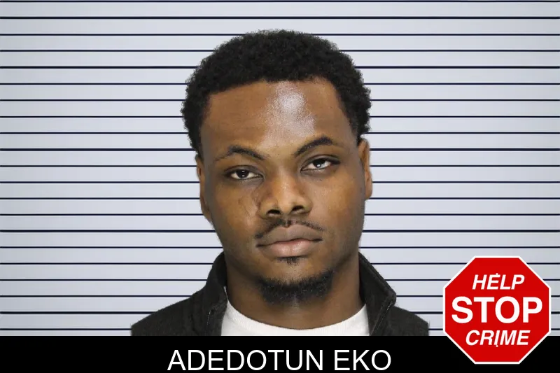 Adedotun Eko mugshot