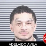 Adelaido Avila mugshot