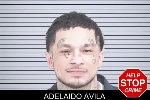 Adelaido Avila mugshot