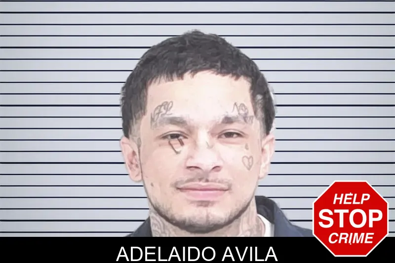 Adelaido Avila mugshot