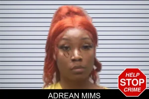 Adrean Mims mugshot