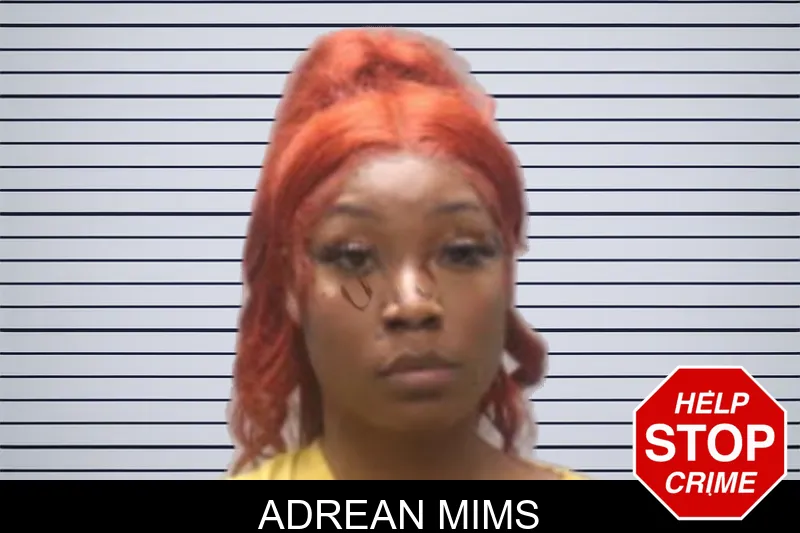 Adrean Mims mugshot