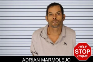 Adrian Marmolejo mugshot