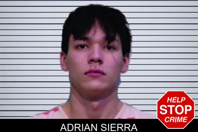 Adrian Sierra mugshot – Bartow County , Georgia Adrian Sierra