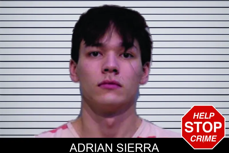 Adrian Sierra mugshot