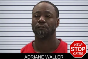 Adriane Waller mugshot